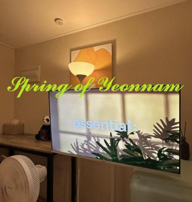 Yeonnam-dong Villa | Yeonanm Spring