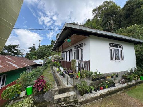 Pelling Casa | Yonzon lha dhim