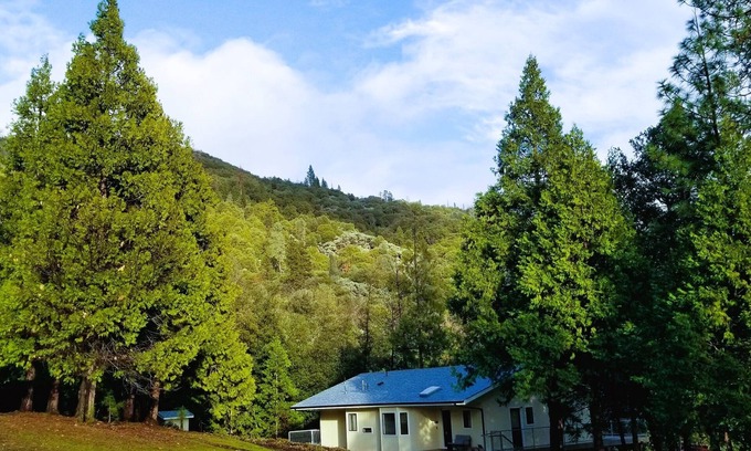 Mariposa Casa | Yosemite Getaway | Starlink + Forest Views