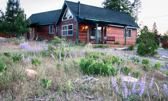 Foresta Cabina | Yosemite Hilltop Cabins, Lupin cabina, 15 min al Valle planta, WiFi