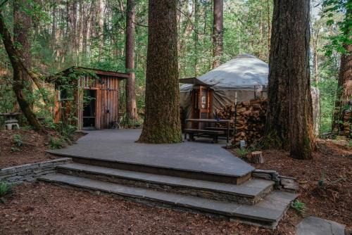 Nevada City Otro | Your private Yurt in the woods - Nevada City
