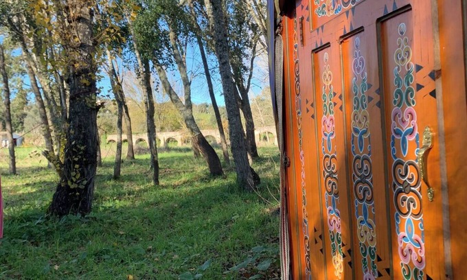 Montemor-o-Novo Alquiler De RV | Yurt in a magical mini forest