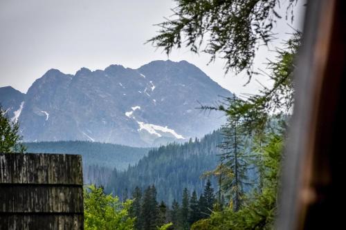 Male Ciche Cama Y Desayuno | Za górami Za lasami Zakopane
