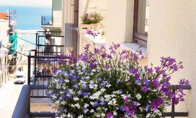 Castellammare del Golfo Cama Y Desayuno | zammu bed and breakfast