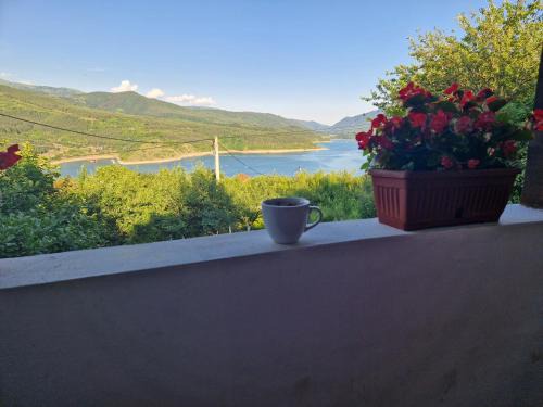 Stara Planina Casa | Zavojsko jezero - kuća Mitić