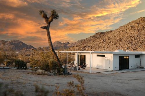 Joshua Tree Highlands Casa | Zebra Shadow By The Cohost Company