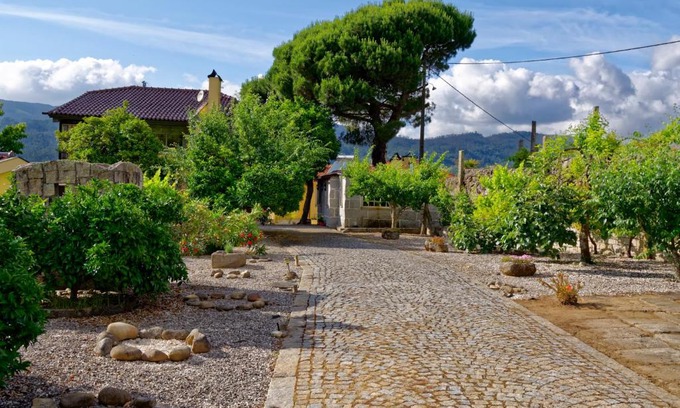 Oliveira de Frades Casa | Zen Vouga