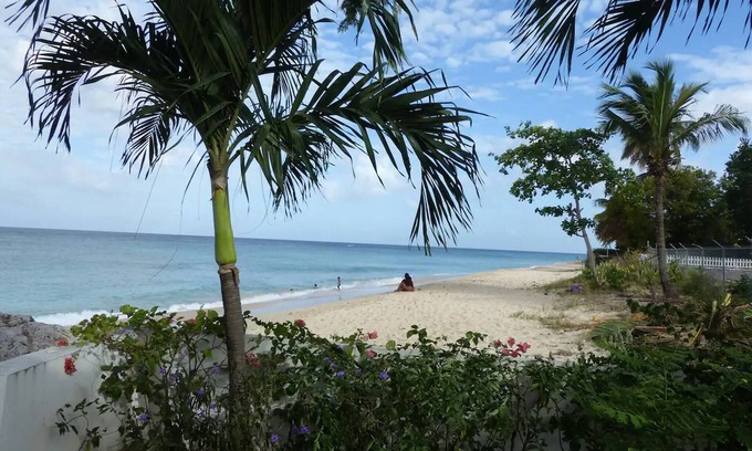 Spring Garden Casa | Zenbreak Freshwater Beachfront 5