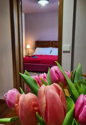 Palmanova Casa | Zi Bitta - guest house
