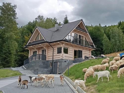 gmina Bystra-Sidzina Casa | Zielone Wzgórze
