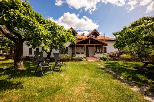 Karwie Casa | Zielony koń