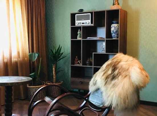Haren Apartamento | Zoek de grens op! Appartement Barenfleer