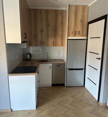 Czarnkow Apartamento | Zowi apartament