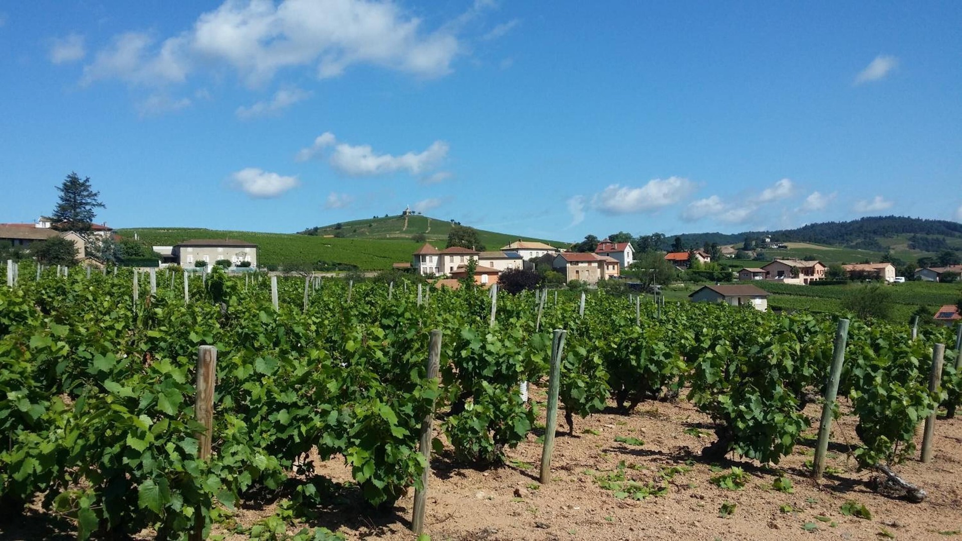 foto de Exterior en Fleurie