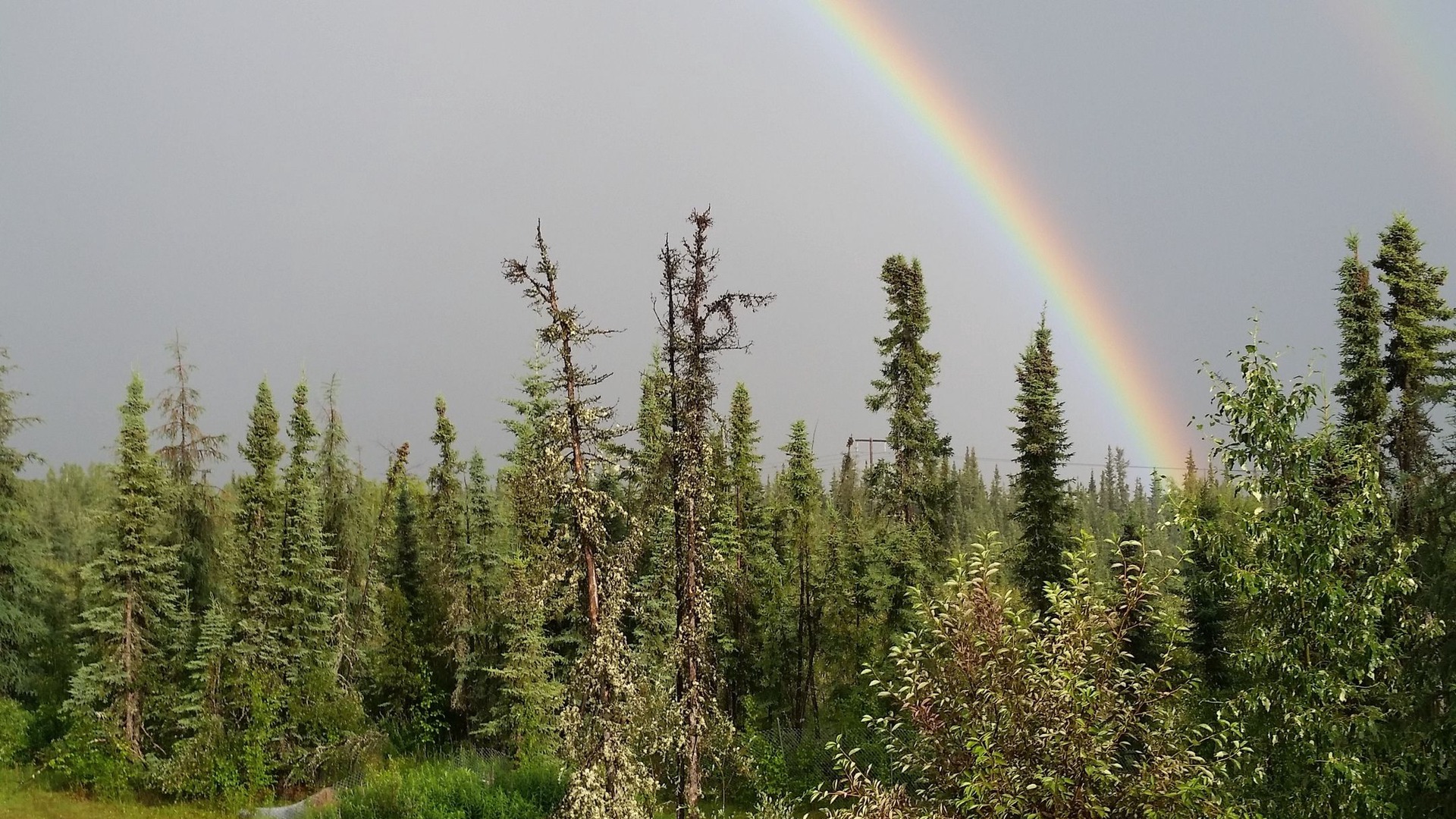 foto de Exterior en Fairbanks