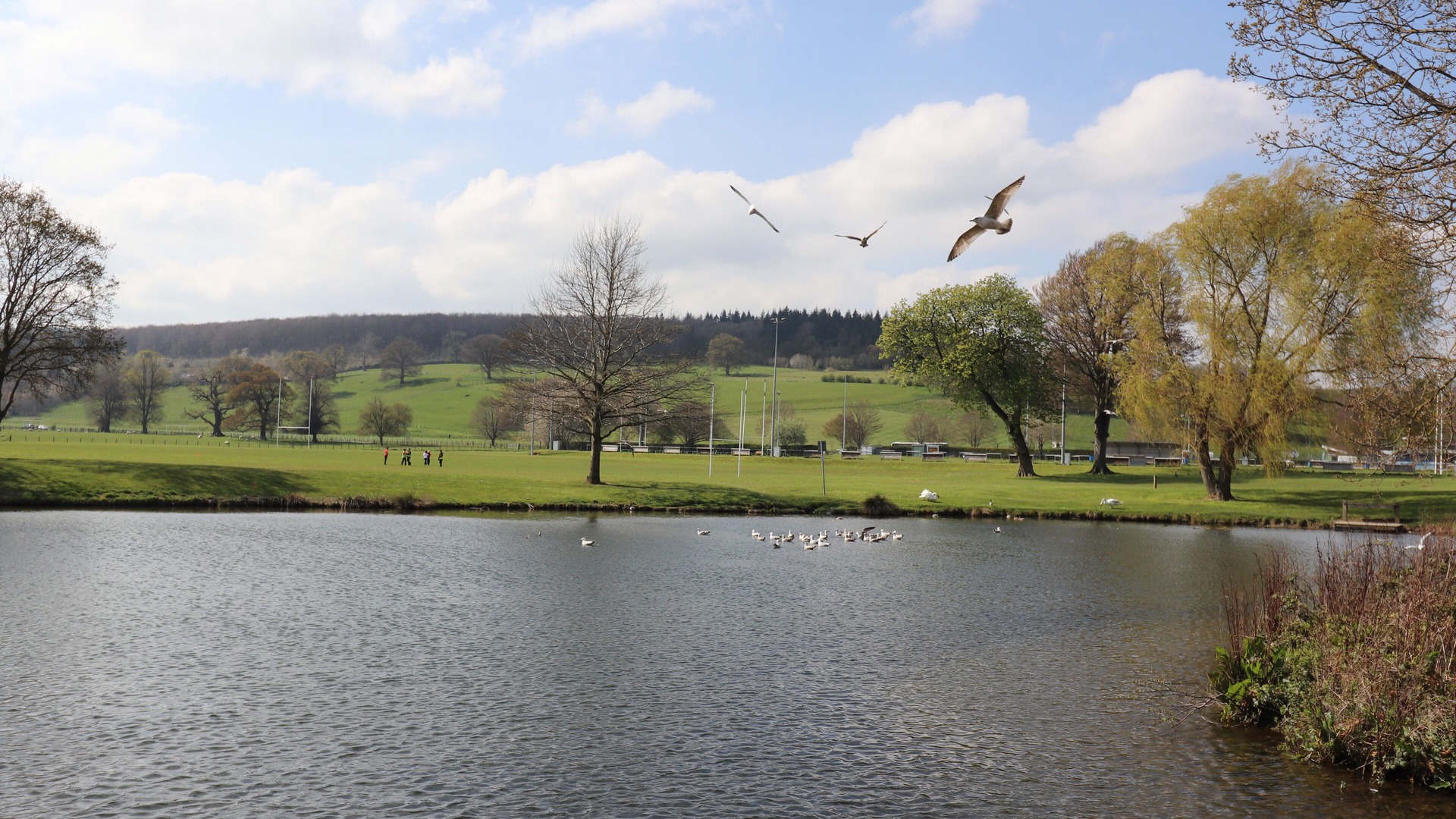 foto de Otras en Ruthin