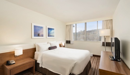 Suite, 1 Queen Bed with Sofa bed