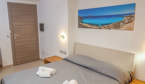 Habitación básica con 1 cama doble o 2 individuales, 1 cama doble
