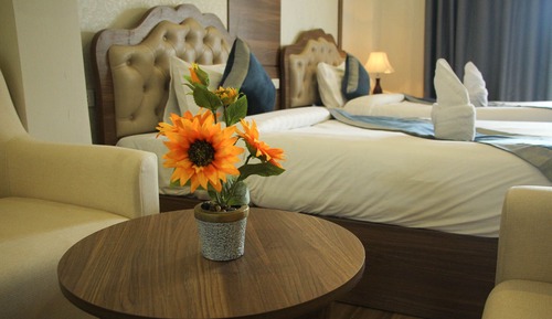 Habitación Deluxe con 2 camas individuales, varias camas