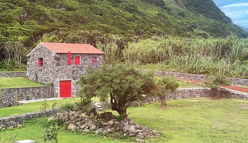 Casa junior