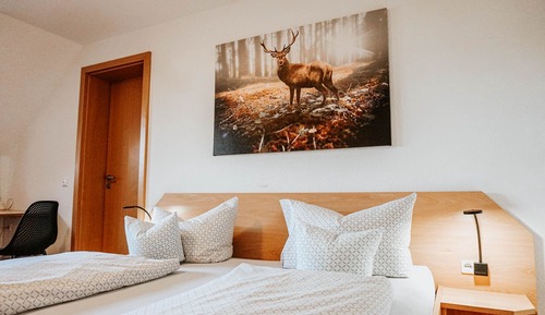 Habitación básica doble