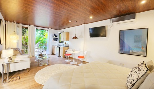 Estudio junior, 1 cama de matrimonio grande, vistas al río, planta baja