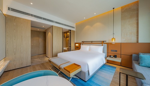 Habitación Premium, 1 cama de matrimonio grande