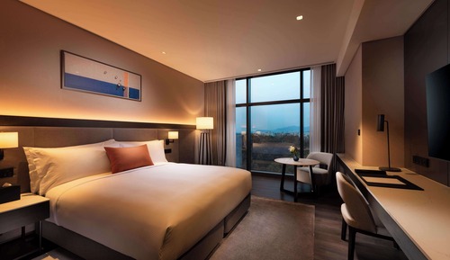 Habitación ejecutiva, 1 cama de matrimonio grande