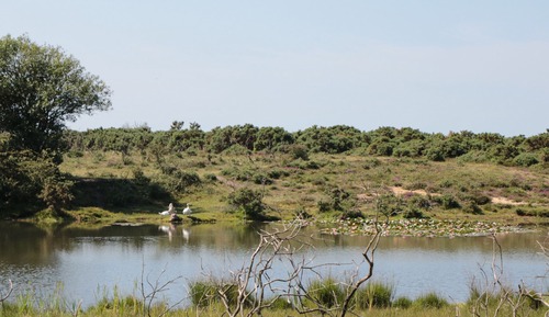 Casa de campo