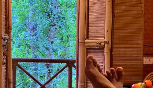 Casa en un árbol clásica