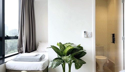 Suite Standard Tripla