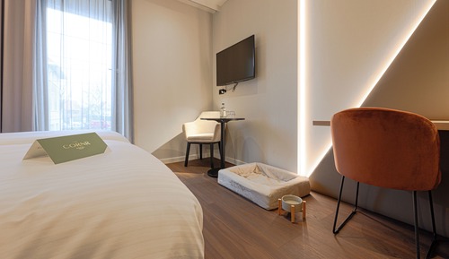 Habitación Deluxe con 1 cama doble o 2 individuales