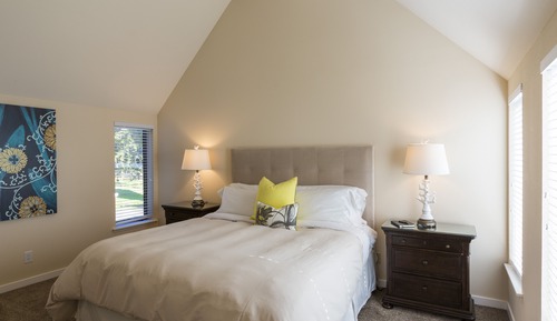 Suite estudio Grand, 1 cama de matrimonio grande con sofá cama, chimenea, vistas al jardín