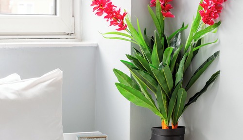 Apartamento Confort
