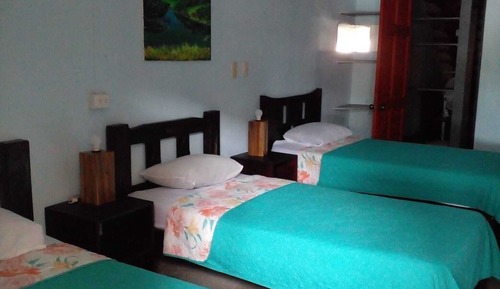 Habitación triple básica