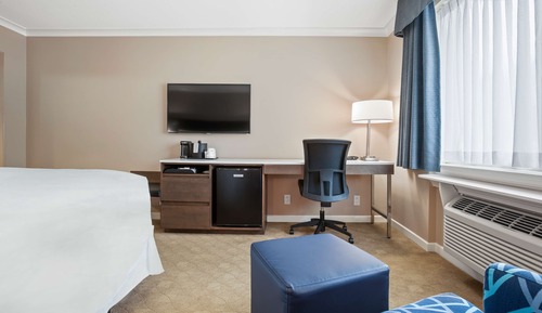 Habitación estándar, 1 cama de matrimonio grande, no fumadores, frigorífico y microondas