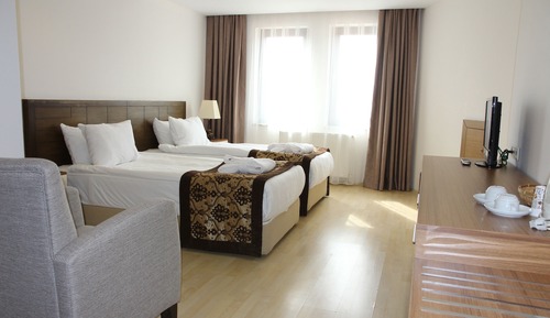 Superior Room, 1 Double or 2 Twin Beds, Mountain View