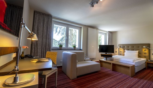 Habitación Business doble (Plus)