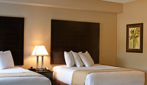 Suite estudio Confort, 2 camas de matrimonio