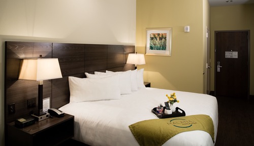 Habitación Deluxe, 1 cama de matrimonio grande, no fumadores