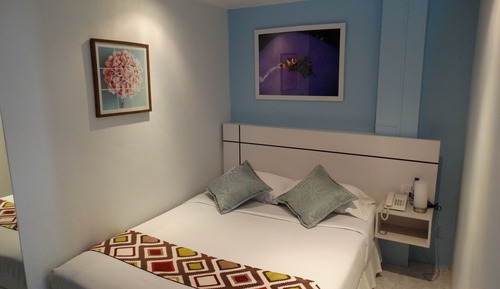 Suite, 1 cama de matrimonio