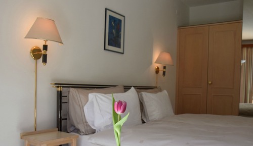Habitación Confort doble, 1 habitación, balcón, vistas al jardín