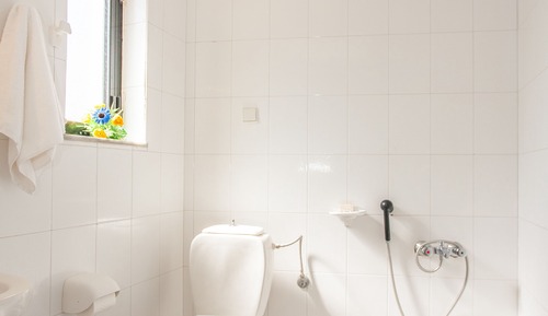 Habitación estándar, vistas al jardín