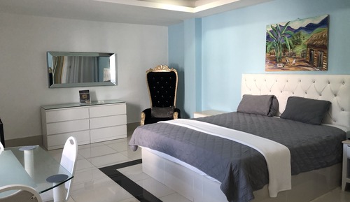 Suite ejecutiva, 1 cama de matrimonio grande
