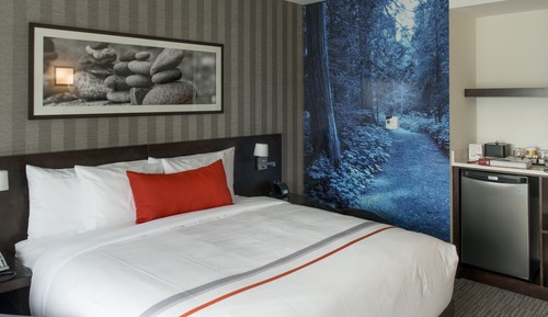 Habitación Deluxe, 1 cama de matrimonio grande