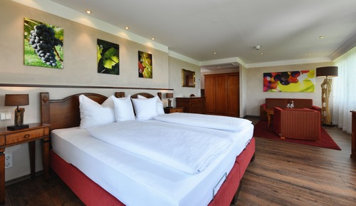 Habitación Deluxe