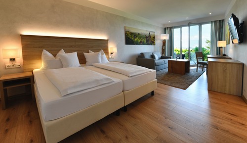 Habitación Confort (Plus)