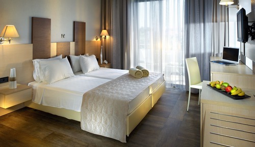 Habitación doble, vistas al jardín