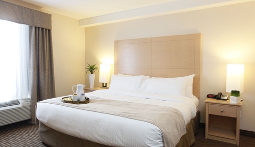 Suite estándar, 1 cama de matrimonio grande con sofá cama