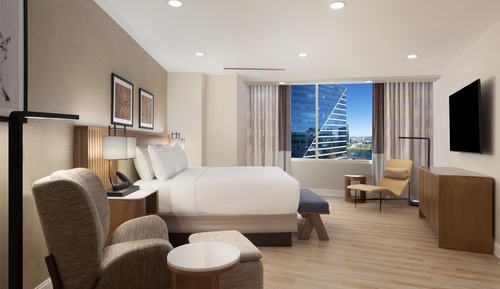 Suite presidencial, 1 cama de matrimonio grande